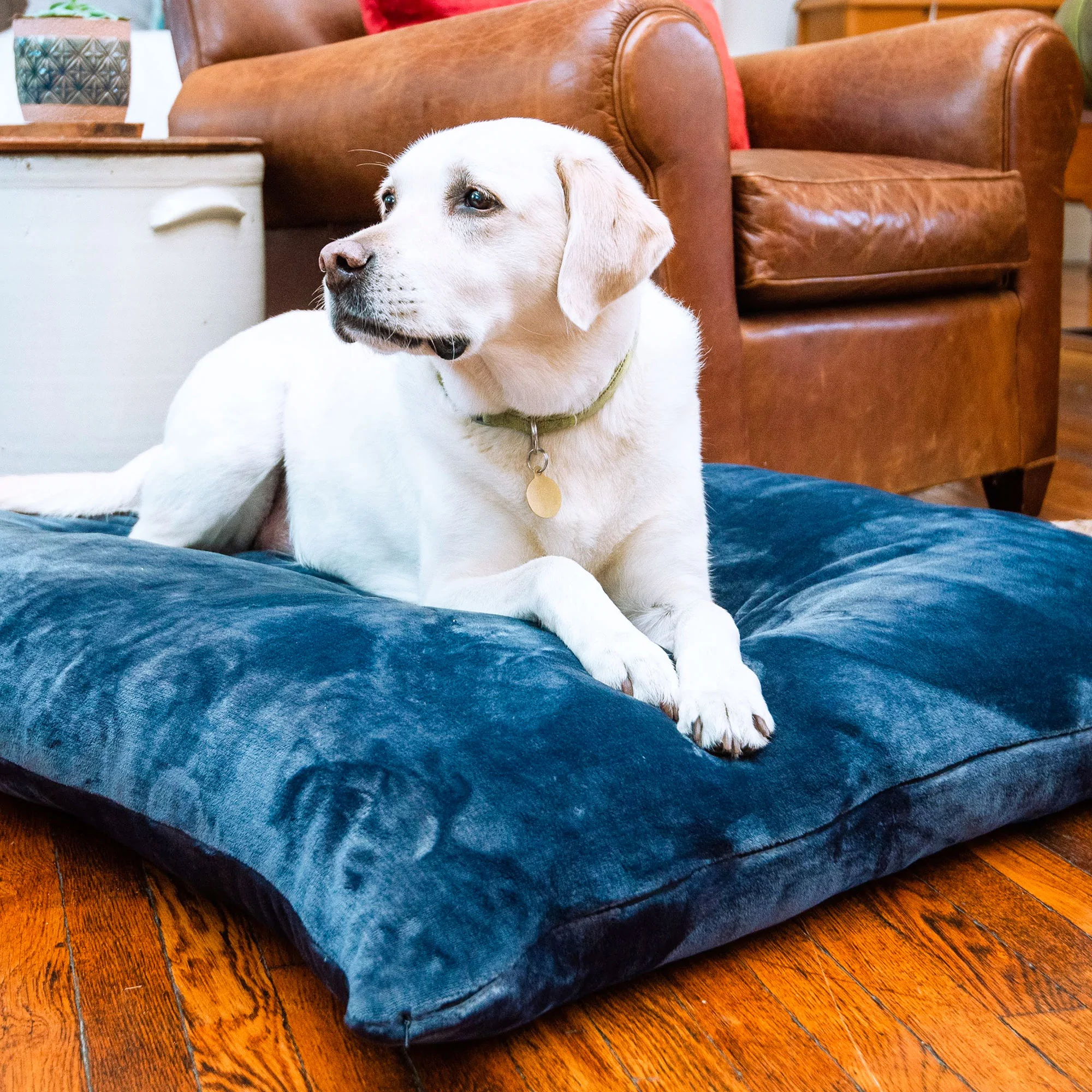 American Made Co Fleece Bed Dog
